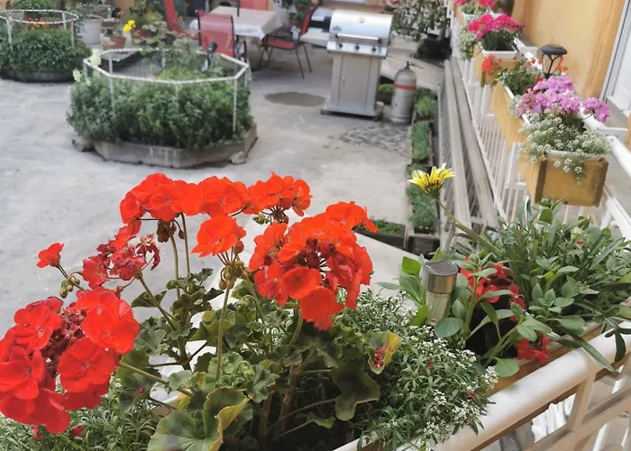 Baross-hat 5 * 索尔诺克