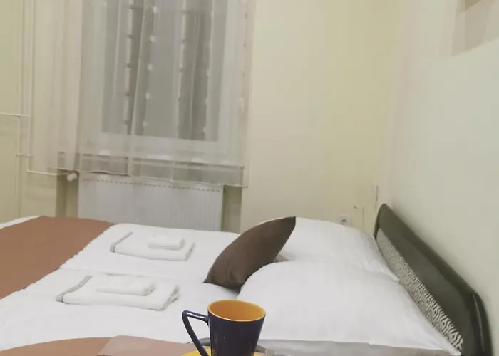 Baross-hat 5 公寓 索尔诺克